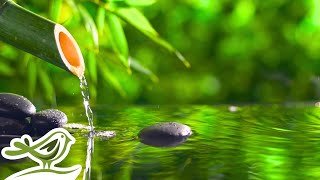 Peaceful Spa Radio 💦 Water Sounds amp Relaxing Music 247 [upl. by Lipscomb]