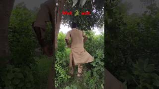 Animal Mongoose 🐨farming shorts amazing humor hunting [upl. by Inahs350]