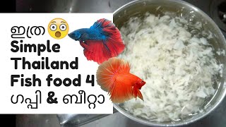 Thailand Simple Homemade Fish Food for Betta amp Guppy Malayalam  Simple Homemade Fish Food Malayalam [upl. by Hamford]