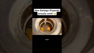 How Garbage Disposals actually work 😳 garbagedisposal sink garbage [upl. by Zsuedat]