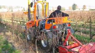 Leiser AG Landtechnik Traktoren Vorschneider Mulcher Holder F780 Video 2 [upl. by Oniliuqnart]