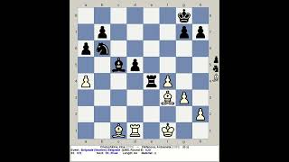 Chelushkina Irina vs Stefanova Antoaneta  Belgrade Chess 1995 Yugoslavia [upl. by Odnomar338]