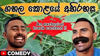 ගහල කොළයේ අභිරහස  An exclusive ට්‍රැක් content 😂 [upl. by Cowey]