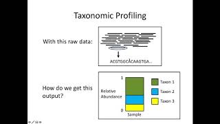 Analysis of Metagenomic Data [upl. by Danyelle826]