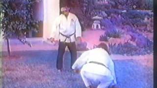 hanshi Tadashi Yamashitapart 5 of 10Suikendo Shorin Ryu Karate [upl. by Assennev]