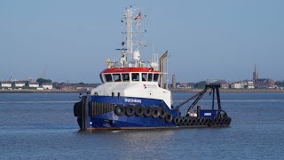 Tug DUCHESS  27m Damen shoalbuster at felixstowe 17523 [upl. by Ralf54]