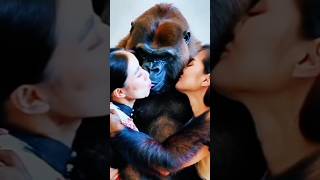 Gorilla double wife funny cute funnyanimlas sorts ytshorts trending viralvideo [upl. by Nimrak]