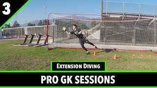 Session 3  Goalkeeper Training  Pro GK Academy [upl. by Mayyahk]