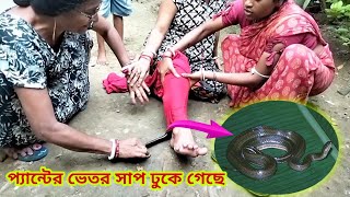 শাক তুলতে গিয়ে প্যান্টের সাপ ঢুকে গেছে 😱  Suman Arpita Vlogs [upl. by Esinned731]