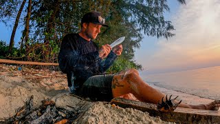 12 hours ON A TROPICAL ISLAND Catch and cook on the open fire [upl. by Godiva620]