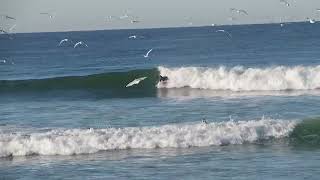 Soloshot Session  Oceanside Nov 13 2024 [upl. by Lynde]