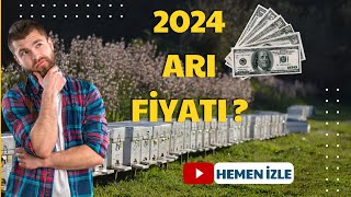 2024 ARI FİYATLARI [upl. by Evonne]