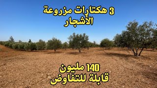 فيرمة حوالي 3 هكتارات بالمنزل والكوري والبير ب 140 مليون قابلة للتفاوض Ferme a vendre fes ain chkef [upl. by Blount]