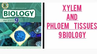 Compound tissue Xylem Vessel and tracheids  Phloem tissues Sieve tubes and Companion cells [upl. by Macdermot]