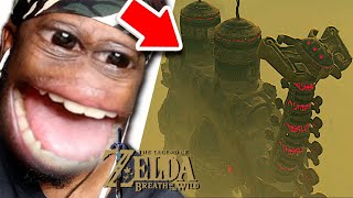 Black Guys UNEXECPTED Joruney To Divine Beast VAH NABORIS in Zelda Breath Of The Wild Part 13 [upl. by Akehsay]