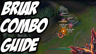 Briar Combo Guide Briar Animation Cancels Rank 1 Briar [upl. by Homer]