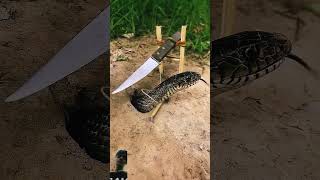 snake handtrap reptiles easytrap bushcraft rattletraphunting bigtrapcreativesnaketrapfunny [upl. by Mikey737]