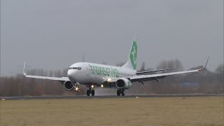 Transavia unveils new look at Schiphol [upl. by Gisele]