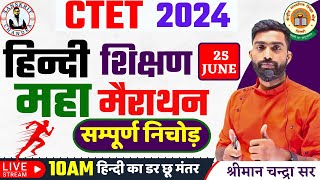 🎯 CTET July 2024  HINDI PEDAGOGY MARATHAN  HINDI PEDAGOGY FOR CTET  CTET PREVIOUS YEAR QUESTIONS [upl. by Fenella]