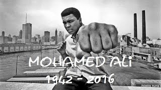 MOHAMED ALI  Hommage 1942  2016 [upl. by Elleiand]