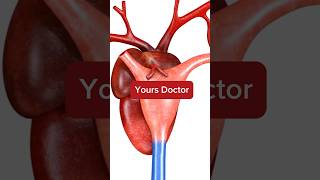 Human heart Anatomy 3D Animation  human heart animation heart humanheart animation study [upl. by Nnahs160]