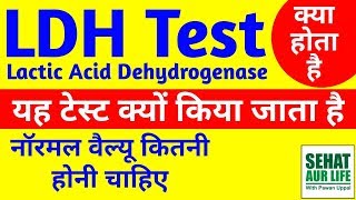 LDH Blood Test Kya Hai Meaning Normal Range Full Form In Hindi Lactic Dehydrogenase Test [upl. by Kantos72]