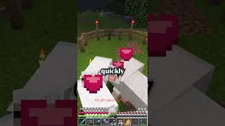 Sheep Farming in Minecraft Tutorial [upl. by Yelac637]