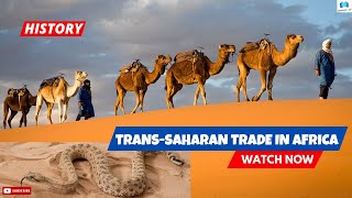 A History of the TransSaharan  Caravan Trade in Africa 🌍 [upl. by Francois]