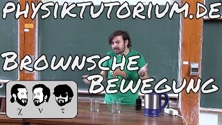 Physiktutorium Brownsche Bewegung [upl. by Christy]