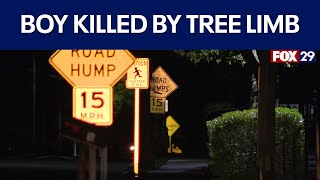 12yearold boy killed by falling tree limb in New Jersey [upl. by Nerret]