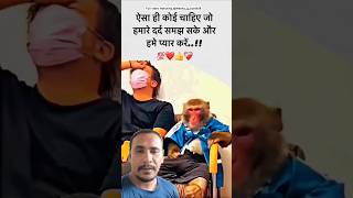 Bezubaano ka pyar to dekho yaar monkey monkeylover love youtubeshorts [upl. by Rob]