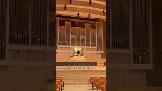 Rieger Orgel Bruckner Haus Linz freie Organ Improvisation Shorts vlog austria [upl. by Orly257]