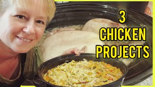 3 Cooked Chicken Project Ideas [upl. by Snoddy960]