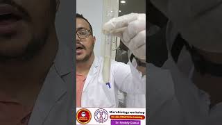 Indole test شرح عملي Microbiology [upl. by Attelahs]