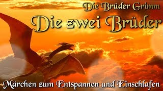 Die zwei Brüder  KHM 060  Hörbuch deutsch Märchen der Brüder Grimm [upl. by Atrice]