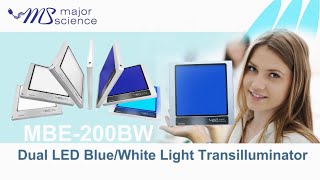 Major Science Dual LED BlueWhite Light Transilluminator MBE200BW [upl. by Mosi198]