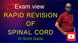 Spinal cord quick revision in Hindi [upl. by Eelano]