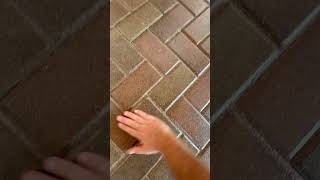 THIS GUY HAS TO BE LYING ABOUT THE AGE brick pavers sealer restoration paverseal [upl. by Yvi]