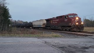 NICE HORN CPR 8641 at Palgrave OCT 3024 [upl. by Naitirb]