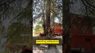 Ghatotkach Temple In Manali [upl. by Roshan]