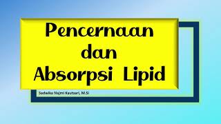 Metabolisme LipidPencernaan dan Absorpsi Lipid [upl. by Noivax]