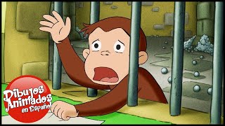 Jorge el Curioso en Español 🐵Compilación de 1 Hora 🐵 Capitulos completos del Mono Jorge [upl. by Ilujna909]