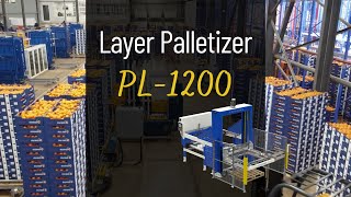 PL1200 Layer Palletizer [upl. by Eigger868]