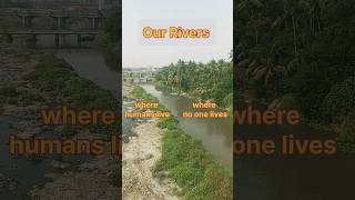 Our rivers 🥹  river pollution  garbage in rivers  clean rivers river waterpollution pollution [upl. by Branscum]