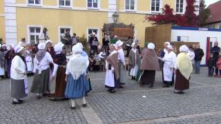 200 Jahre Völkerschlacht  Ein Dorf im Jahre 1813  Die wandernden Musikanten 24 [upl. by Westbrook312]