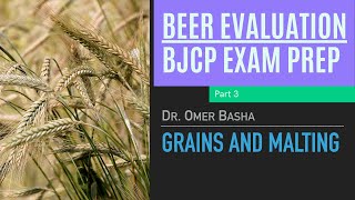 BJCP Beer Exam Prep Course  3  Grains and Malting [upl. by Ardnuahsal]