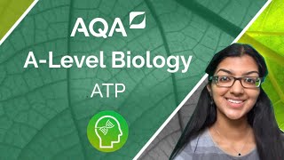 AQA A Level Biology ATP [upl. by Lodhia45]