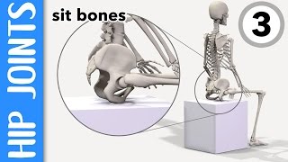 Osteoporosis Exercises for Hip Strengthening [upl. by Ail]