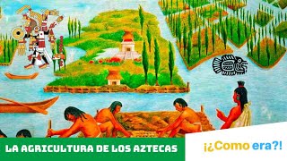 ¿Cómo era la AGRICULTURA para los AZTECAS🇲🇽⌛️🌽 [upl. by Nnylecoj60]