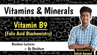 Vitamin B9 Folic Acid  Nutritional Biochemistry  Biochemistry Lectures [upl. by Rawley29]